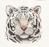 Tigre blanc R.jpg